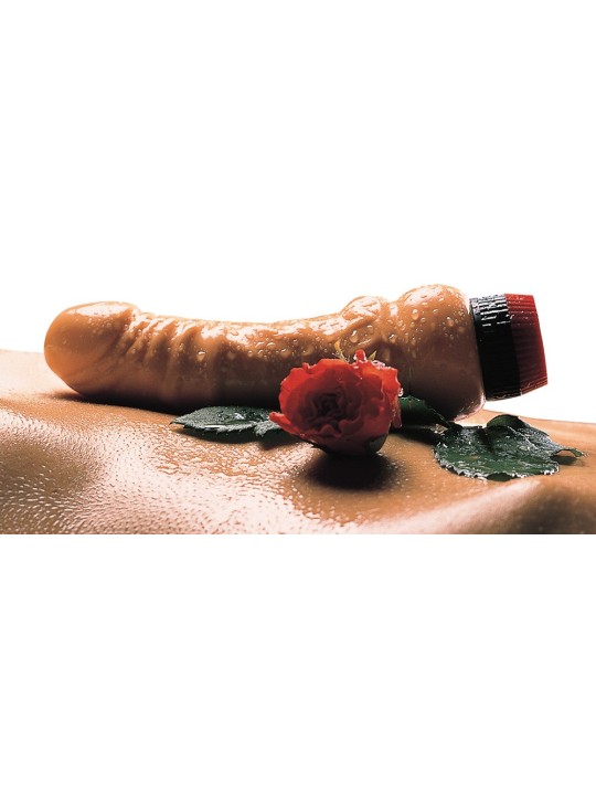 VIBRATORE REALISTICO "NATUR VIBRATOR" CARNE - 17 CM